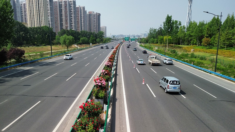 機(jī)場(chǎng)高速月季盛開 扮靚春日旅途.jpg